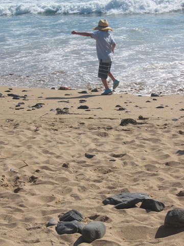 Surf Dodger